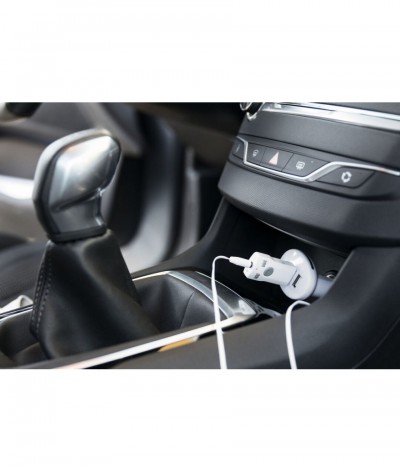Domky