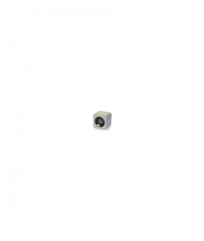 Seynol
